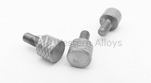 Inconel 600 Screws